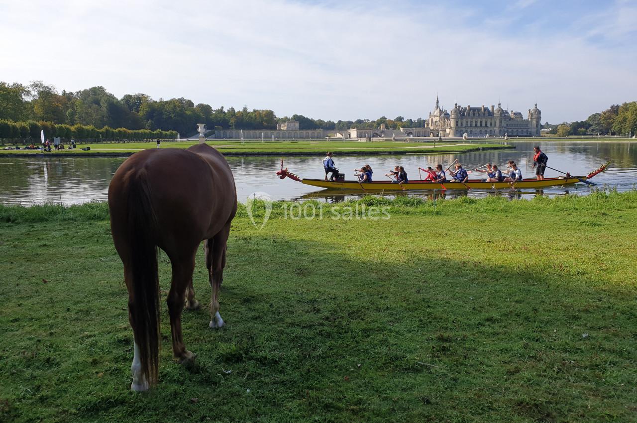 Un cheval sur une pelouse regarde une barque avec des rameurs sur un lac, avec un château en arrière-plan.