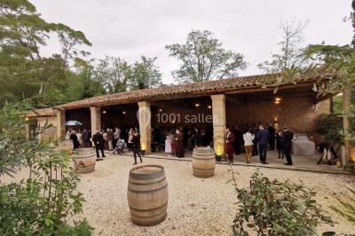 Façade d'une grande maison blanche entourée d'arbres, avec une pelouse verdoyante au premier plan.