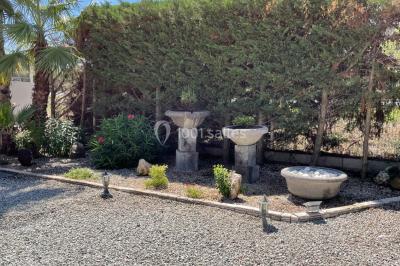 Miniature Location salle Agde (Hérault) - Salle Traiteur La Felouque #7 Location salle Agde (Hérault) - Salle Traiteur La Felouque #72