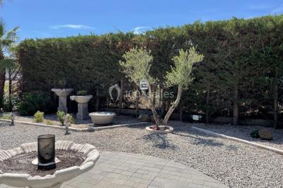 Miniature Location salle Agde (Hérault) - Salle Traiteur La Felouque #12 Location salle Agde (Hérault) - Salle Traiteur La Felouque #72