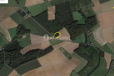 Miniature Location salle Doudeauville (Pas-de-Calais) - Le Bois sous l'Etoile #19 Location salle Doudeauville (Pas-de-Calais) - Le Bois sous l'Etoile #28