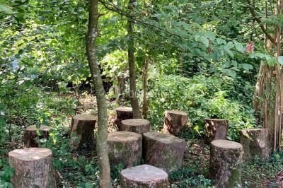 Miniature Location salle Doudeauville (Pas-de-Calais) - Le Bois sous l'Etoile #22 Location salle Doudeauville (Pas-de-Calais) - Le Bois sous l'Etoile #28