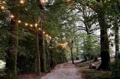 Miniature Location salle Doudeauville (Pas-de-Calais) - Le Bois sous l'Etoile #21 Location salle Doudeauville (Pas-de-Calais) - Le Bois sous l'Etoile #28