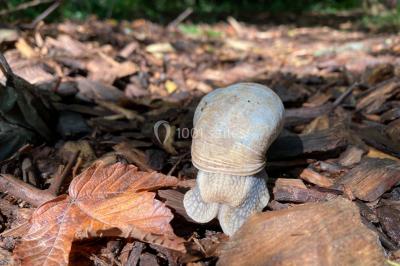 Miniature Location salle Doudeauville (Pas-de-Calais) - Le Bois sous l'Etoile #26 Location salle Doudeauville (Pas-de-Calais) - Le Bois sous l'Etoile #28