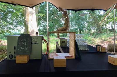 Miniature Location salle Doudeauville (Pas-de-Calais) - Le Bois sous l'Etoile #4 Location salle Doudeauville (Pas-de-Calais) - Le Bois sous l'Etoile #28