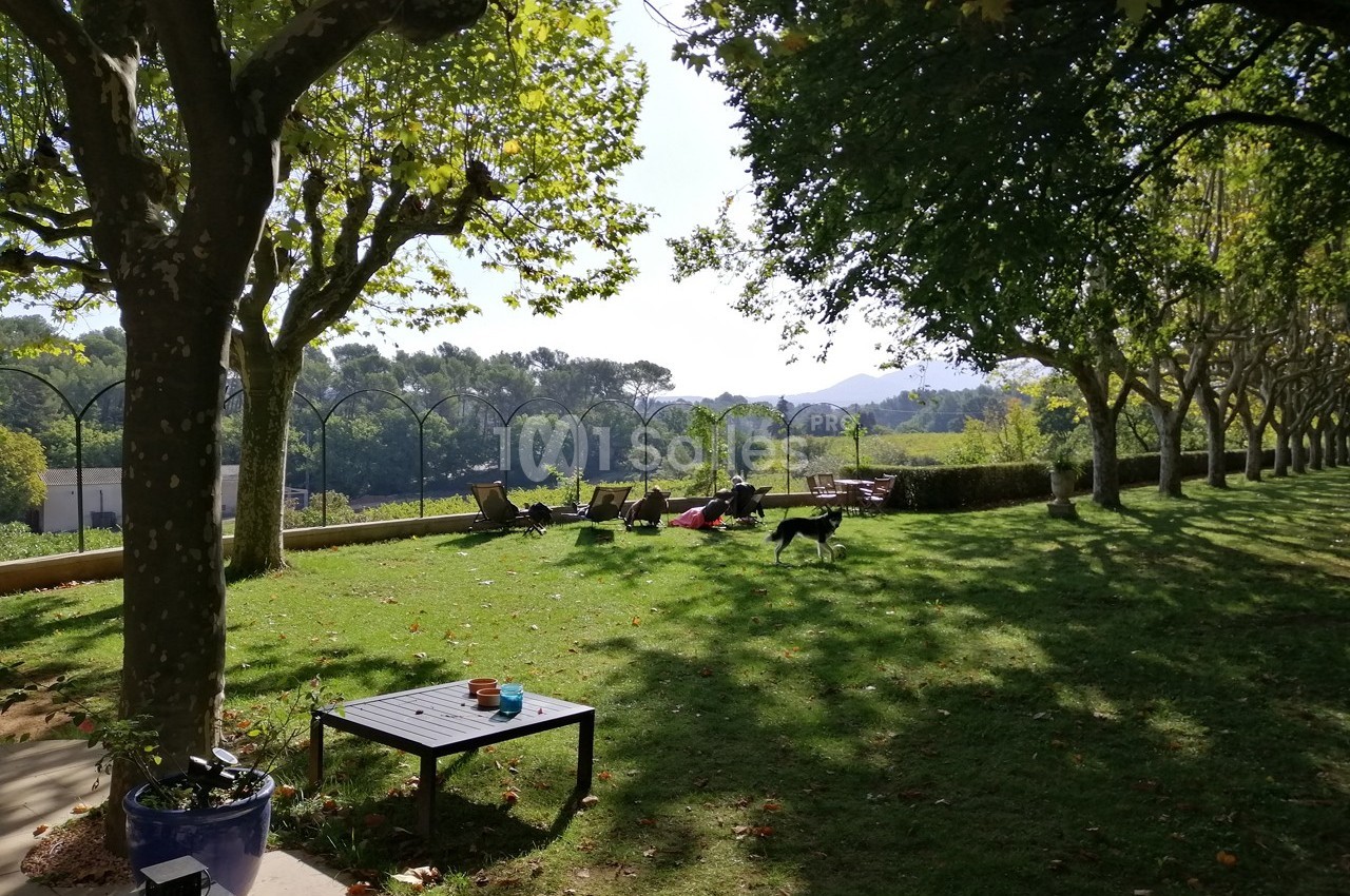 Pelouse ombragée avec des arbres, des chaises longues, une table basse et un chien courant, vue sur un paysage boisé.