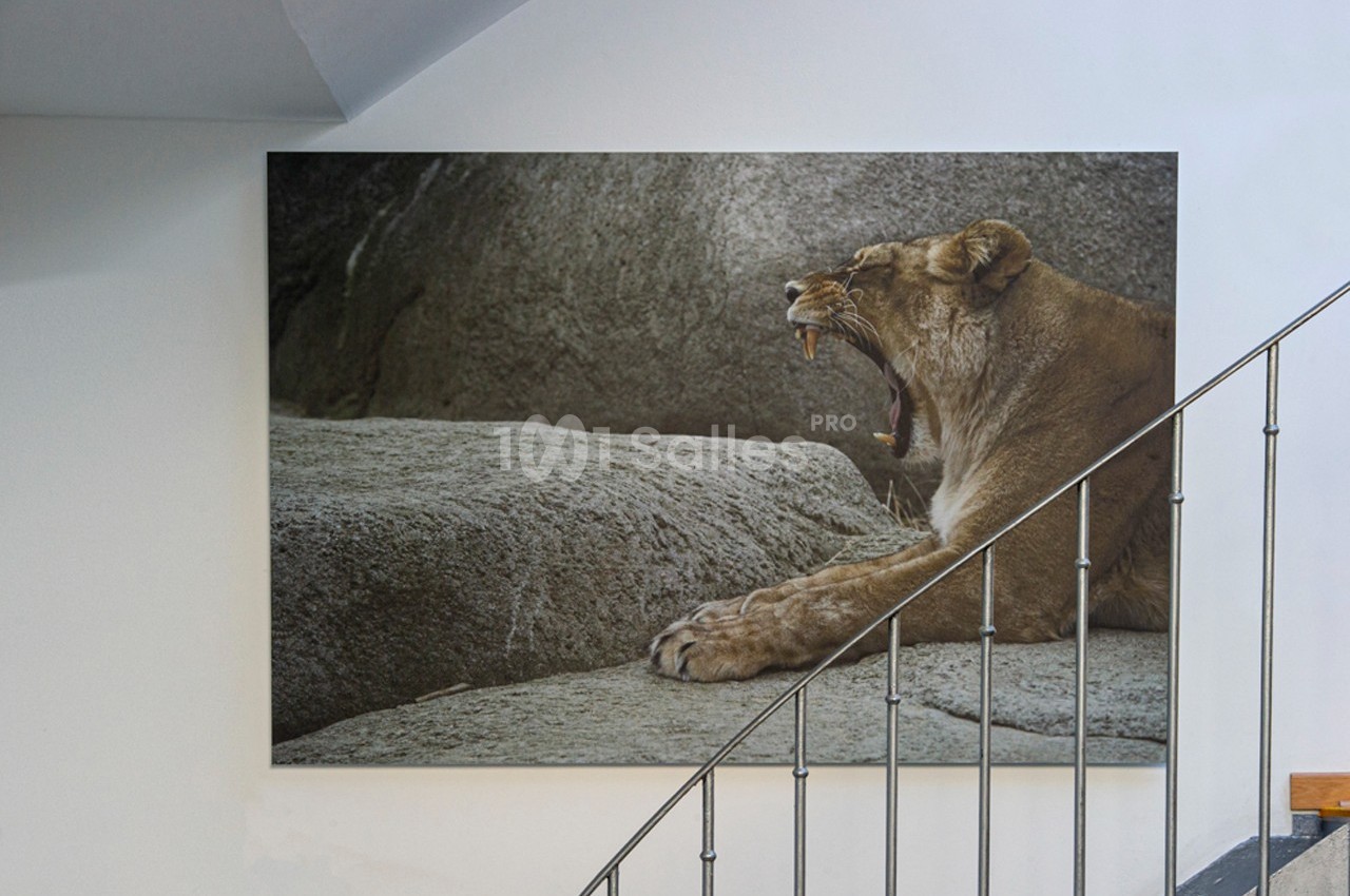 At72 - galerie - photo 32