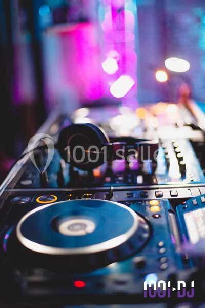 Midnight Folies - galerie - photo 4