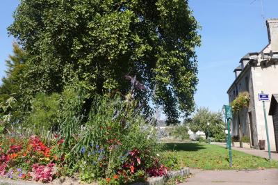 Façade d'un bâtiment historique en pierre blanche partiellement cachée par des arbres, sous une lumière ensoleillée.