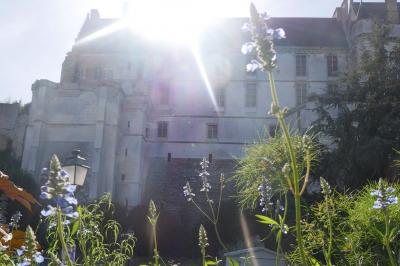 Façade d'un bâtiment historique en pierre blanche partiellement cachée par des arbres, sous une lumière ensoleillée.