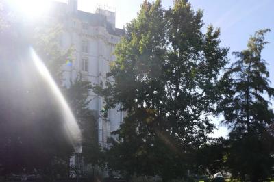 Façade d'un bâtiment historique en pierre blanche partiellement cachée par des arbres, sous une lumière ensoleillée.