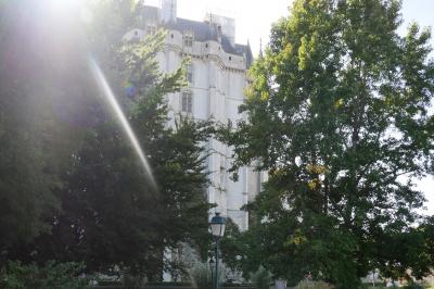Façade d'un bâtiment historique en pierre blanche partiellement cachée par des arbres, sous une lumière ensoleillée.