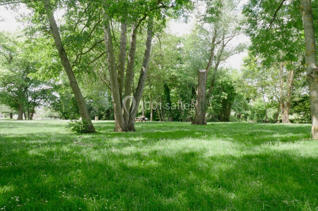 Pelouse verdoyante entourée d'arbres sous un ciel dégagé dans un parc calme et ombragé.