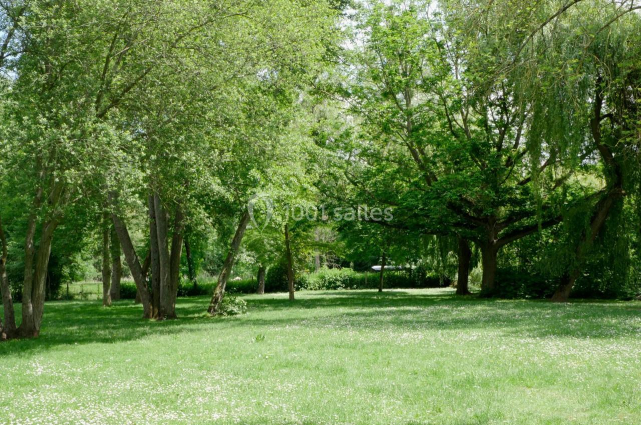 Pelouse verdoyante parsemée de petites fleurs blanches, entourée d'arbres feuillus sous un ciel clair.