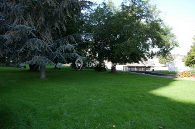 Étang calme entouré d'arbres, avec des nénuphars flottant à la surface et une petite berge en pierre à droite.