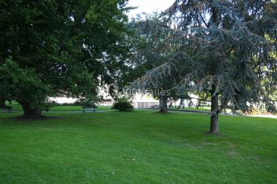 Étang calme entouré d'arbres, avec des nénuphars flottant à la surface et une petite berge en pierre à droite.