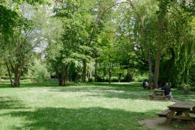 Étang calme entouré d'arbres, avec des nénuphars flottant à la surface et une petite berge en pierre à droite.