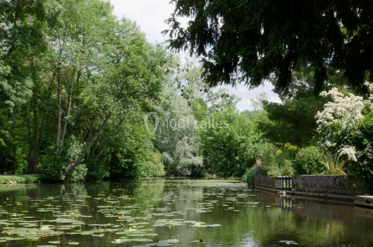 Étang calme entouré d'arbres, avec des nénuphars flottant à la surface et une petite berge en pierre à droite.