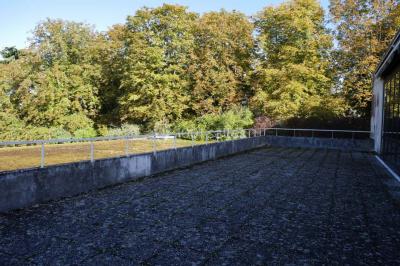 Salle de service avec éviers en inox, armoires rouges, échelle et murs beige clair.