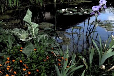 Miniature Location salle Saint-Martin-sur-Ocre (Loiret) - Domaine du Colombier #45 Location salle Saint-Martin-sur-Ocre (Loiret) - Domaine du Colombier #51