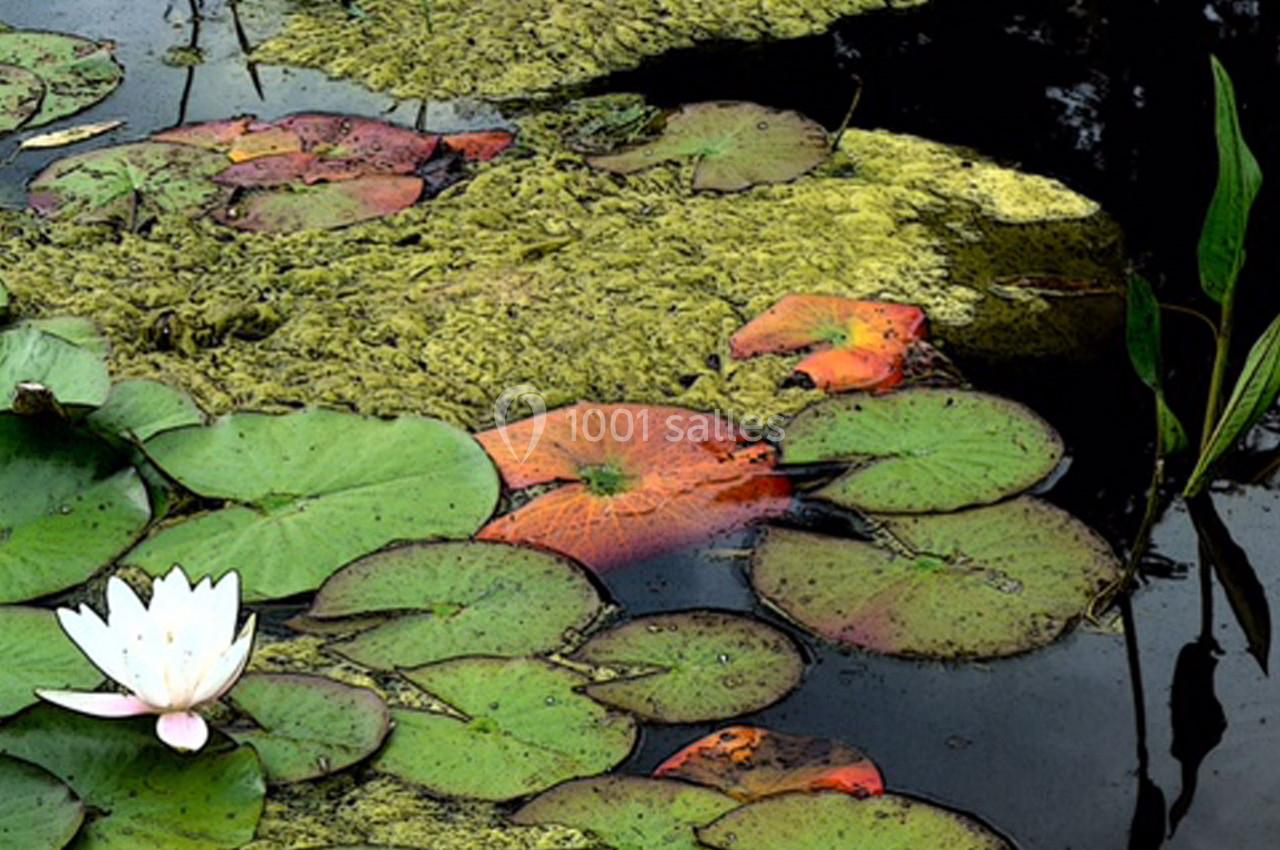 Location salle Saint-Martin-sur-Ocre (Loiret) - Domaine du Colombier #49