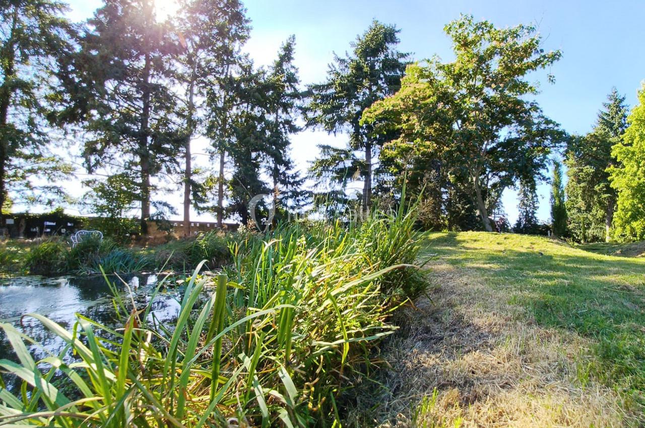 Location salle Saint-Martin-sur-Ocre (Loiret) - Domaine du Colombier #20