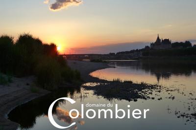 Miniature Location salle Saint-Martin-sur-Ocre (Loiret) - Domaine du Colombier #6 Location salle Saint-Martin-sur-Ocre (Loiret) - Domaine du Colombier #51