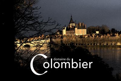 Miniature Location salle Saint-Martin-sur-Ocre (Loiret) - Domaine du Colombier #3 Location salle Saint-Martin-sur-Ocre (Loiret) - Domaine du Colombier #51