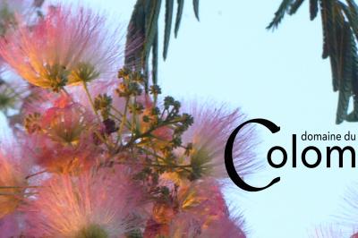 Miniature Location salle Saint-Martin-sur-Ocre (Loiret) - Domaine du Colombier #7 Location salle Saint-Martin-sur-Ocre (Loiret) - Domaine du Colombier #51