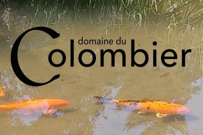 Miniature Location salle Saint-Martin-sur-Ocre (Loiret) - Domaine du Colombier #12 Location salle Saint-Martin-sur-Ocre (Loiret) - Domaine du Colombier #51