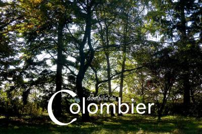 Miniature Location salle Saint-Martin-sur-Ocre (Loiret) - Domaine du Colombier #15 Location salle Saint-Martin-sur-Ocre (Loiret) - Domaine du Colombier #51