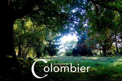 Miniature Location salle Saint-Martin-sur-Ocre (Loiret) - Domaine du Colombier #16 Location salle Saint-Martin-sur-Ocre (Loiret) - Domaine du Colombier #51