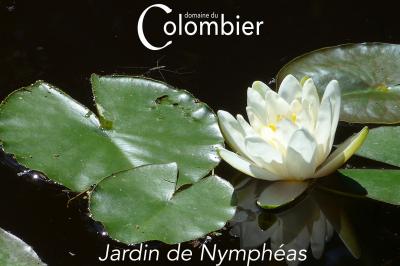 Miniature Location salle Saint-Martin-sur-Ocre (Loiret) - Domaine du Colombier #46 Location salle Saint-Martin-sur-Ocre (Loiret) - Domaine du Colombier #51