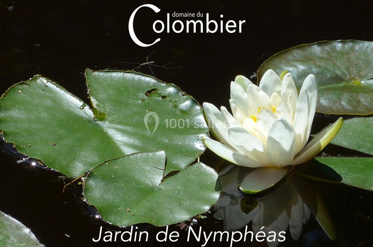 Location salle Saint-Martin-sur-Ocre (Loiret) - Domaine du Colombier #46