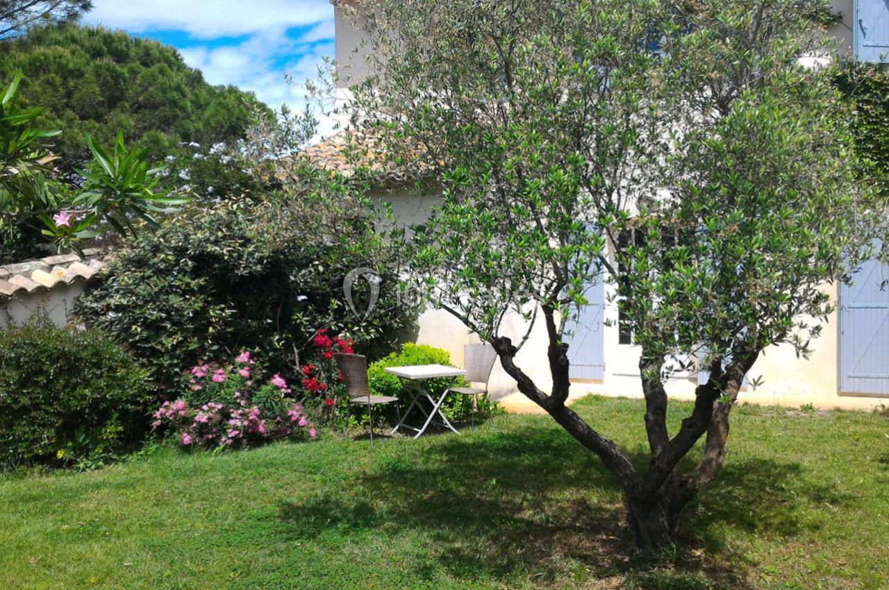 Jardin avec un olivier, des arbustes fleuris, une table et une chaise blanches devant une maison aux volets bleus.