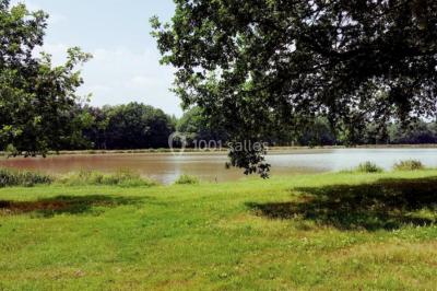 Auberge de Villechaume - photo 4