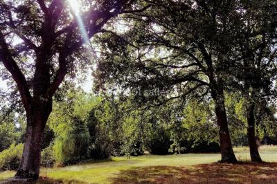 Auberge de Villechaume - photo 5