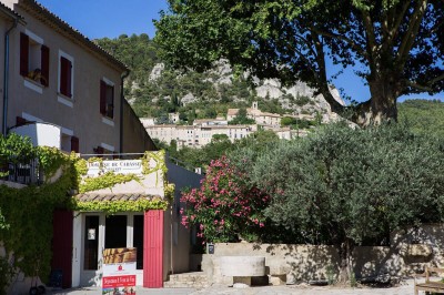 Domaine de Cabasse - photo 2