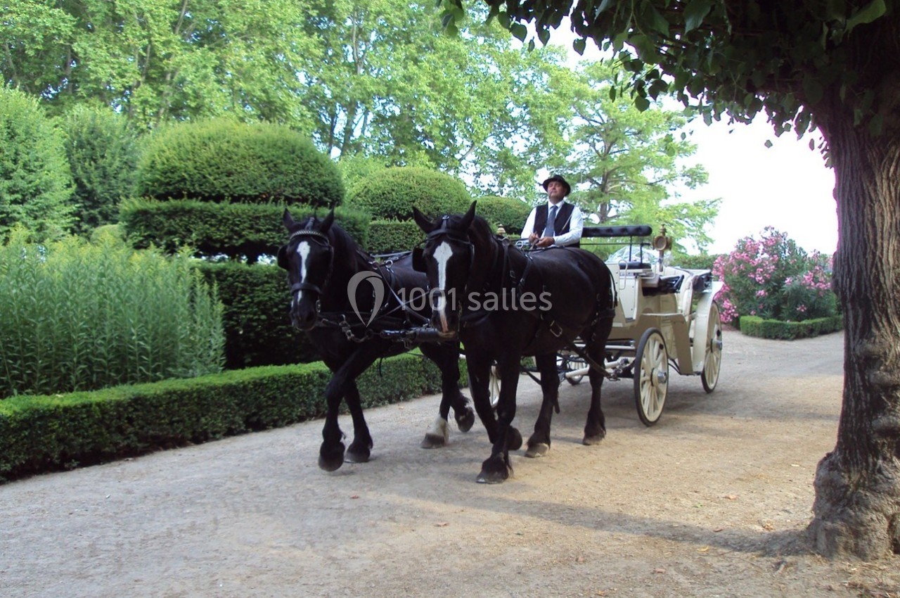 Calèche tirée par deux chevaux noirs sur un chemin bordé de verdure dans un parc.