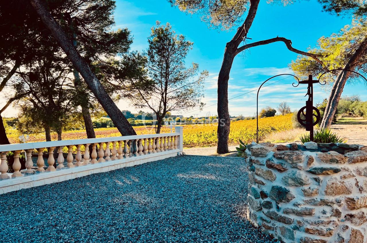 Location salle Béziers (Hérault) - Domaine des Hautes Vignes #35
