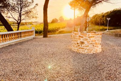 Miniature Location salle Béziers (Hérault) - Domaine des Hautes Vignes #37 Location salle Béziers (Hérault) - Domaine des Hautes Vignes #69