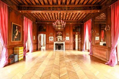 Miniature Location salle Lésigny (Seine-et-Marne) - Château de Lésigny #9 Feu d'artifice illuminant le ciel nocturne au-dessus d'un parc avec des spectateurs rassemblés sur une pelouse.