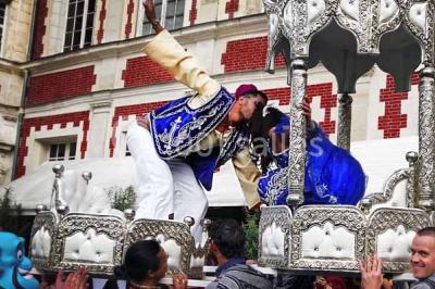 Miniature Location salle Lésigny (Seine-et-Marne) - Château de Lésigny #20 Feu d'artifice illuminant le ciel nocturne au-dessus d'un parc avec des spectateurs rassemblés sur une pelouse.