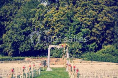 Miniature Location salle Lésigny (Seine-et-Marne) - Château de Lésigny #18 Feu d'artifice illuminant le ciel nocturne au-dessus d'un parc avec des spectateurs rassemblés sur une pelouse.