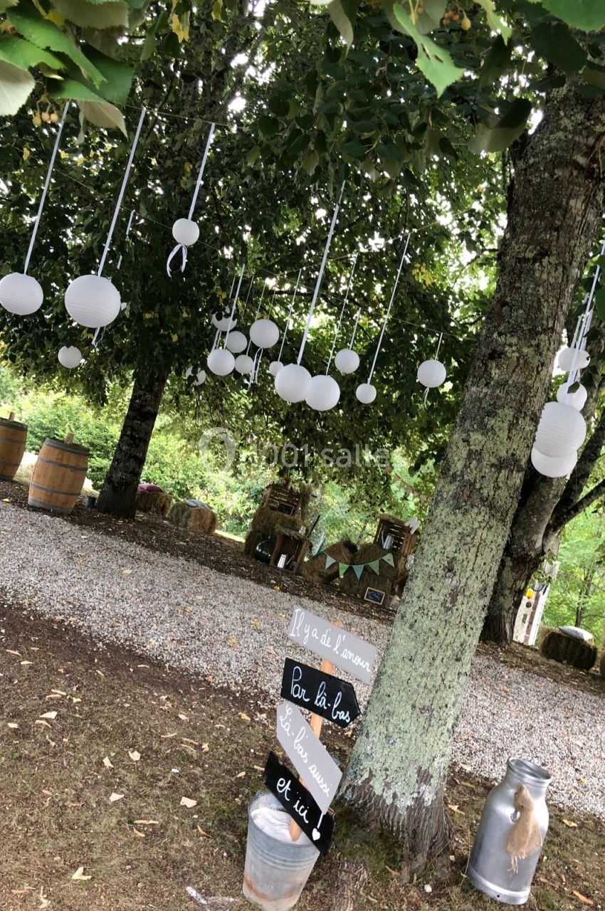 Guirlandes de lanternes blanches suspendues aux arbres dans un espace extérieur décoré avec des tonneaux et des panneaux.