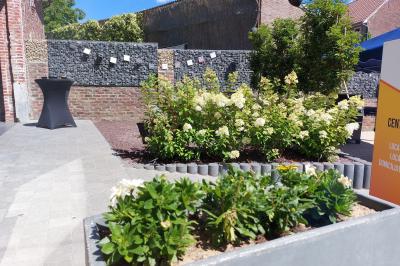 Structure gonflable colorée en forme d'arche, installée sur une cour pavée devant des maisons en briques.