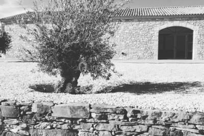 Domaine de la Resclauze - photo 3