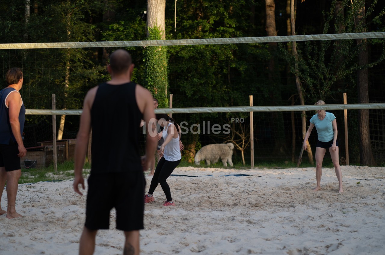 Rock&Bleau - galerie - photo 7