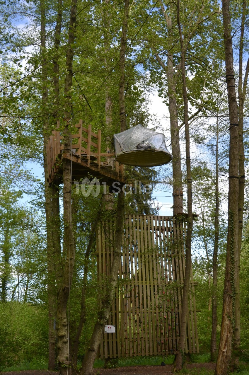 Rock&Bleau - galerie - photo 12