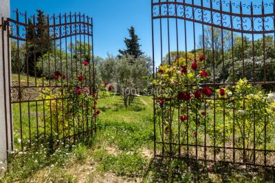 Location salle Le Castellet (Var) - Le Clos des Chênes  #49